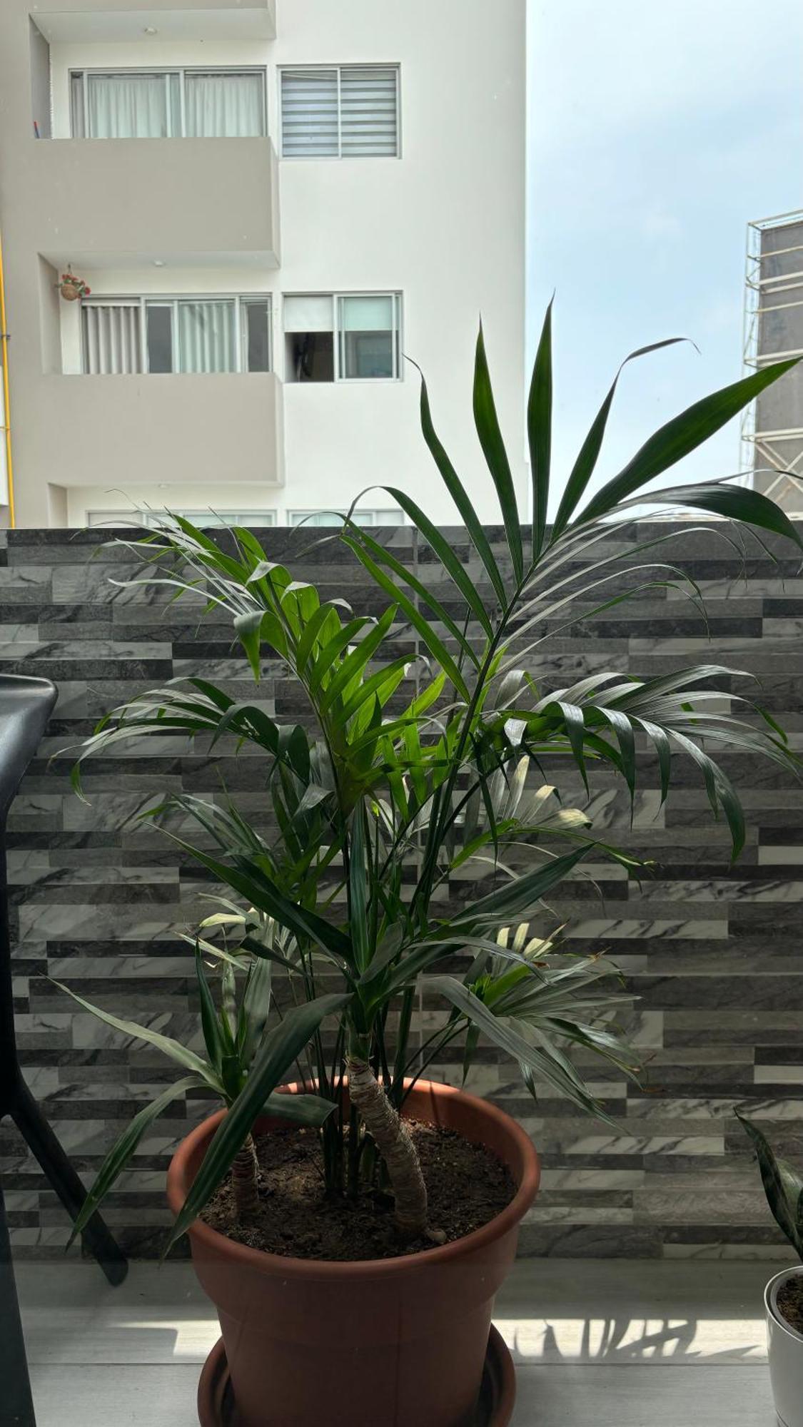Departamento En Miraflores Con Surquillo 리마 외부 사진