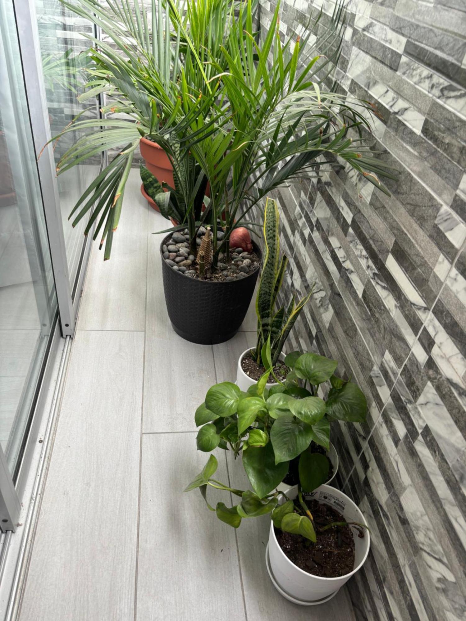 Departamento En Miraflores Con Surquillo 리마 외부 사진